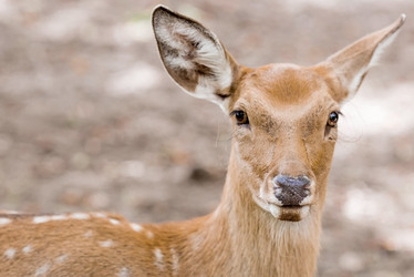 Similar image 21902836