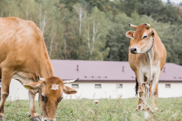 Similar image 21902837