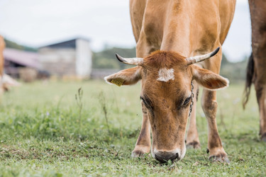 Similar image 21902839