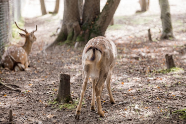 Similar image 21902840