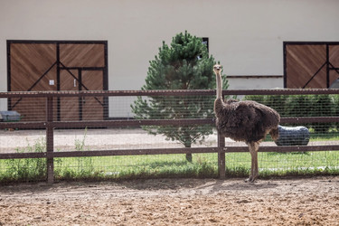 Similar image 21902842