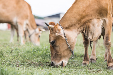 Similar image 21902843