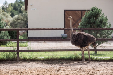 Similar image 21902844