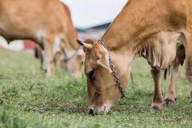 Similar image 21902845