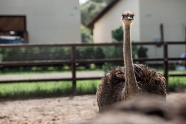 Similar image 21902846