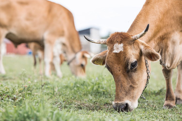 Similar image 21902847