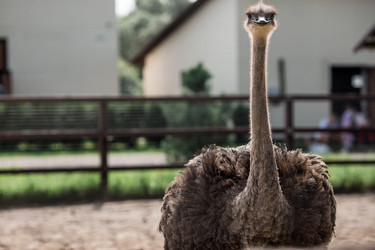 Similar image 21902848