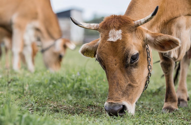 Similar image 21902849