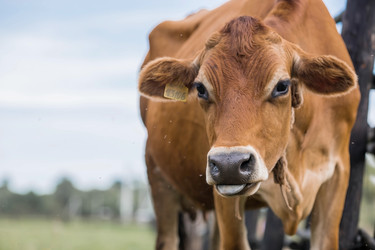 Similar image 21902853