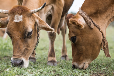 Similar image 21902855