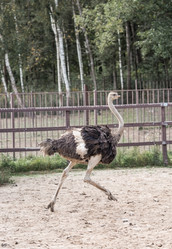 Similar image 21902856