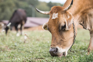 Similar image 21902857