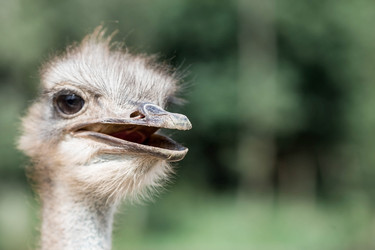 Similar image 21902370