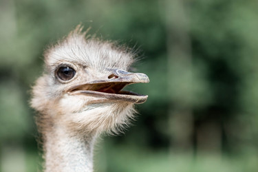 Similar image 21902371