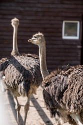 Similar image 21902372