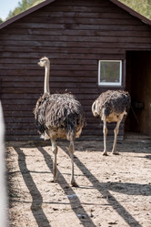 Similar image 21902373