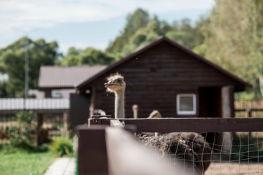 Similar image 21902374