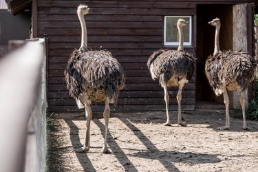 Similar image 21902375