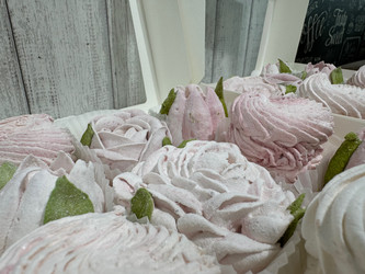 Similar image 21898154