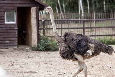 Similar image 21902376