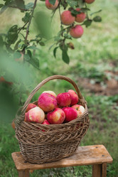 Similar image 21902377