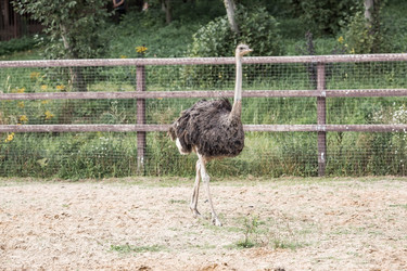 Similar image 21902378