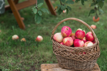 Similar image 21902379