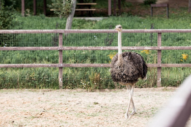 Similar image 21902380