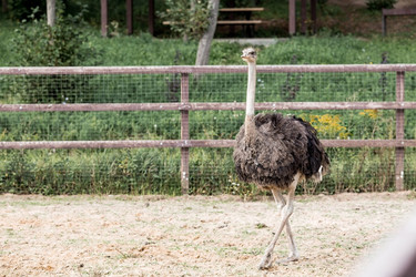 Similar image 21902381