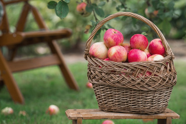 Similar image 21902382