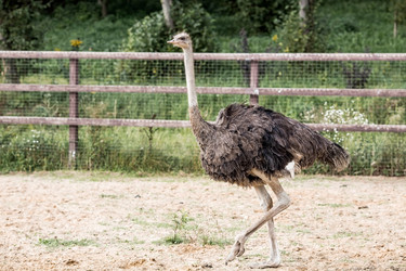 Similar image 21902383