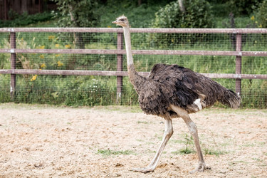 Similar image 21902385