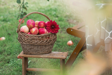 Similar image 21902386