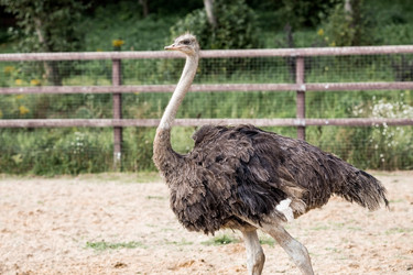 Similar image 21902388