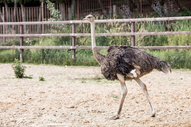 Similar image 21902389