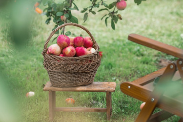 Similar image 21902390