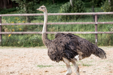 Similar image 21902391