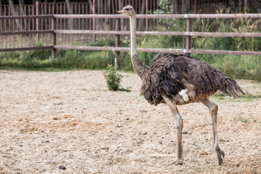 Similar image 21902392