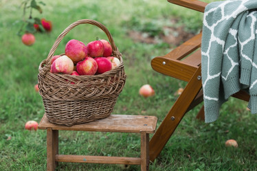 Similar image 21902393