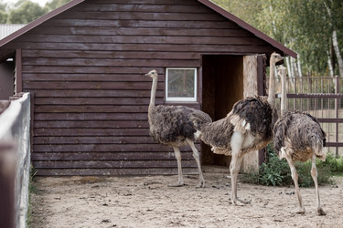 Similar image 21902395