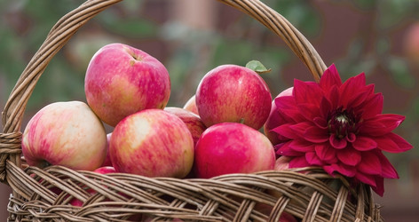 Similar image 21902396