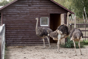 Similar image 21902397