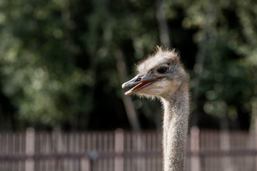 Similar image 21902398