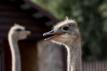 Similar image 21902399