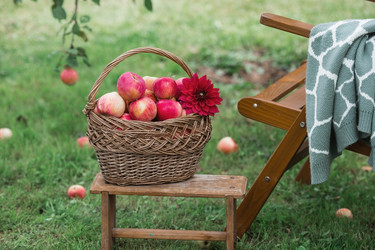 Similar image 21902400