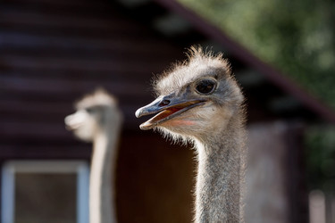 Similar image 21902401