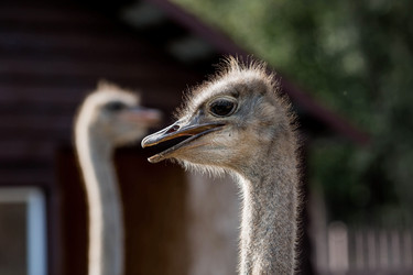 Similar image 21902402