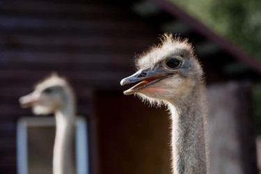 Similar image 21902404