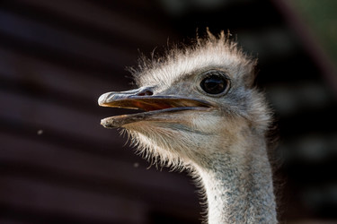 Similar image 21902405