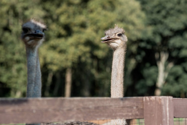 Similar image 21902407